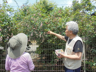 DSC01129.JPG