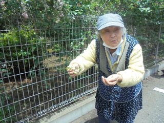 DSC01148.JPG