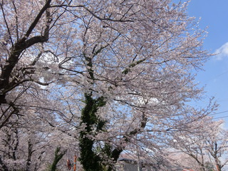 DSC09802.JPG