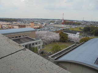 R6-04-1F052.JPG
