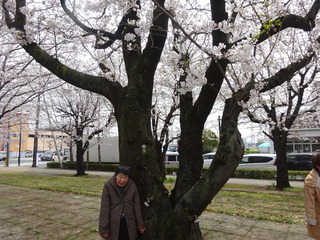 R6-04-2F022.JPG