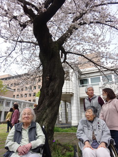 R6-04-2F036.JPG